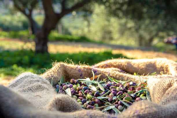 Huile d’olive extra vierge origine tunisienne